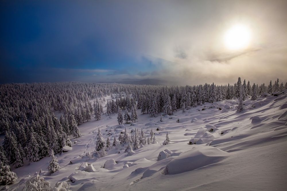 Photograph by Сергей Евдокимов