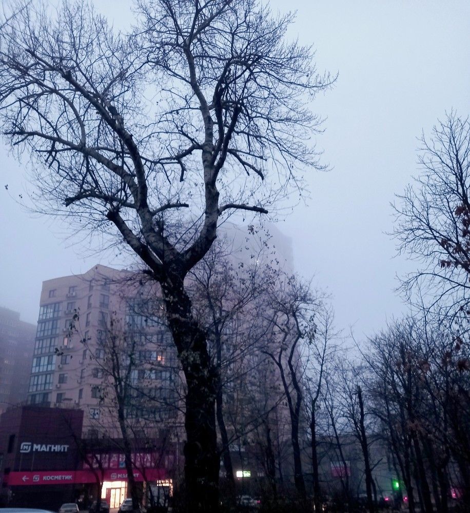 Photograph by Ольга Шевцова