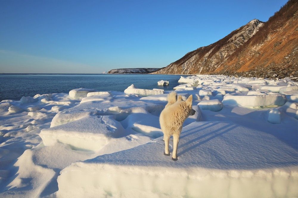 На краю земли
