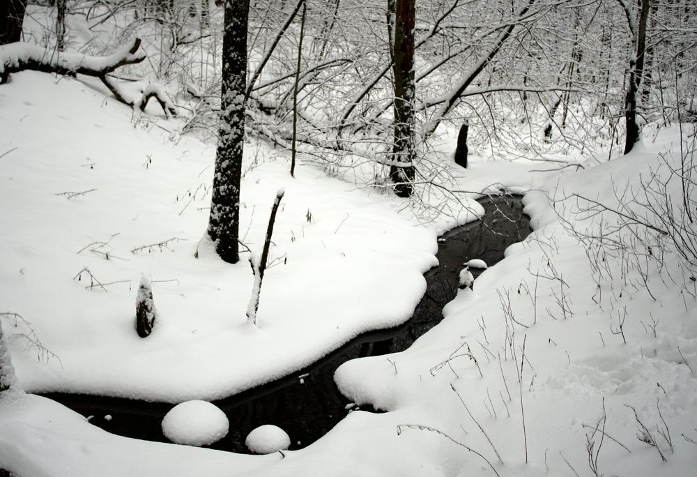 Photograph by Измаил Ефимов