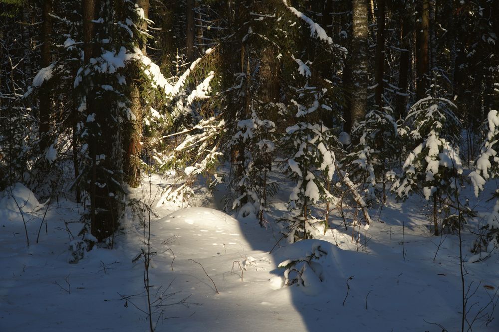 Photograph by Измаил Ефимов