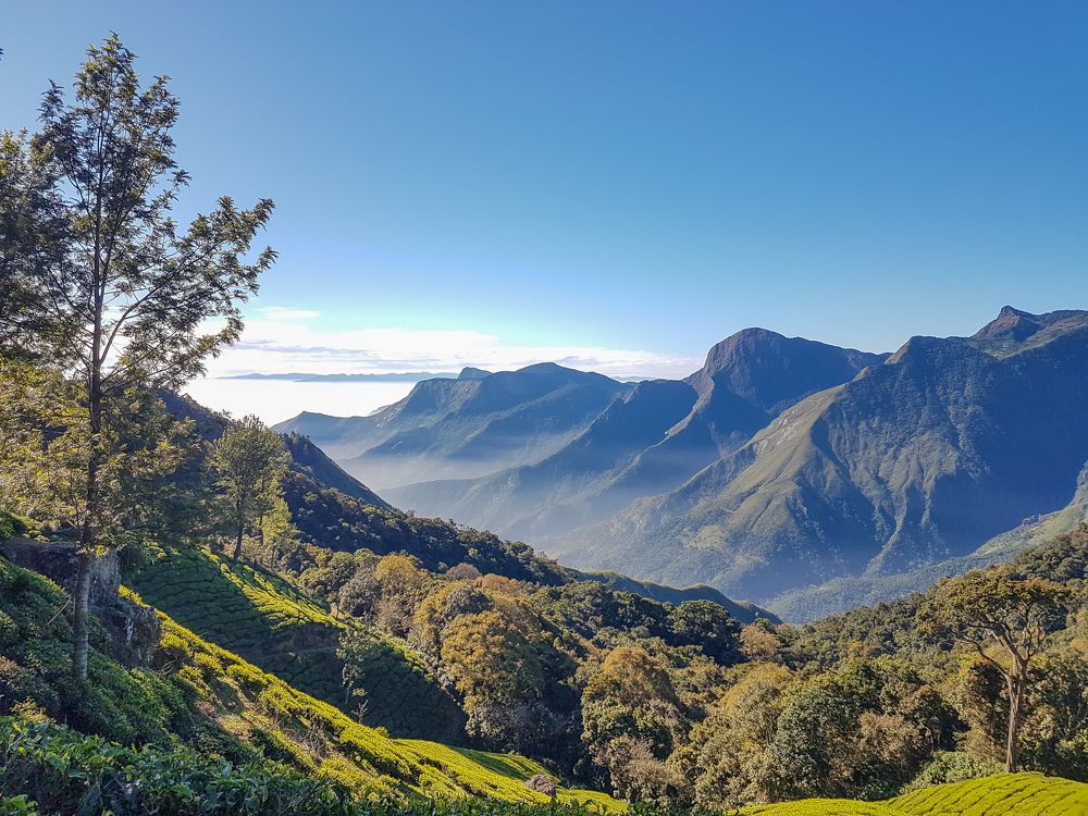 Photograph by Prasad Kn