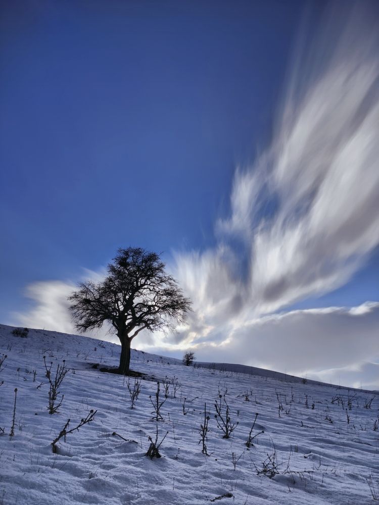 Photograph by Ali goreishi