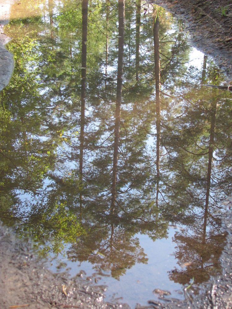 Photograph by Юлия