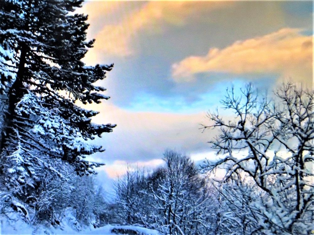 Photograph by Галина