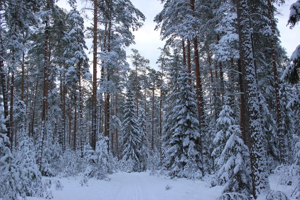 Photograph by Юлия