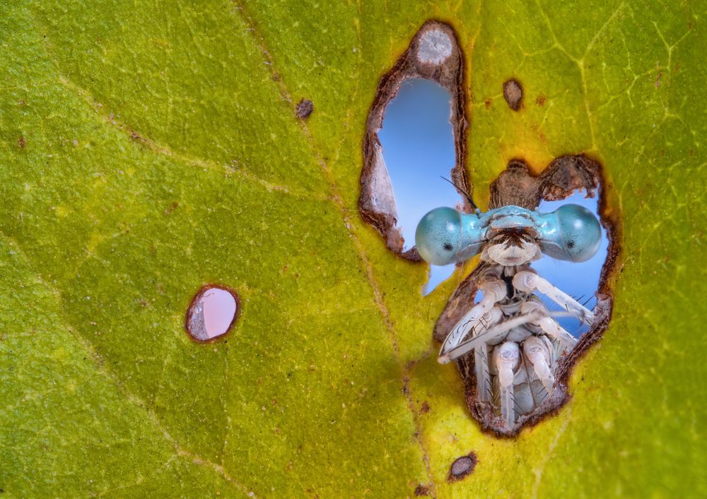 Photograph by Pedro Luis Ajuriaguerra Saiz