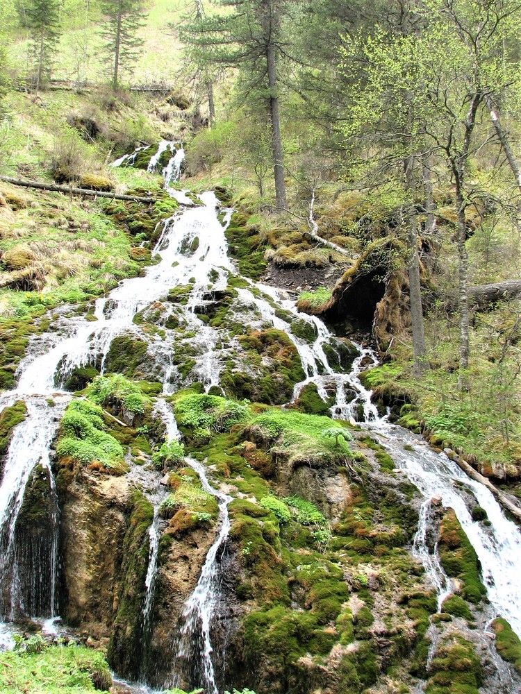 Photograph by Галина