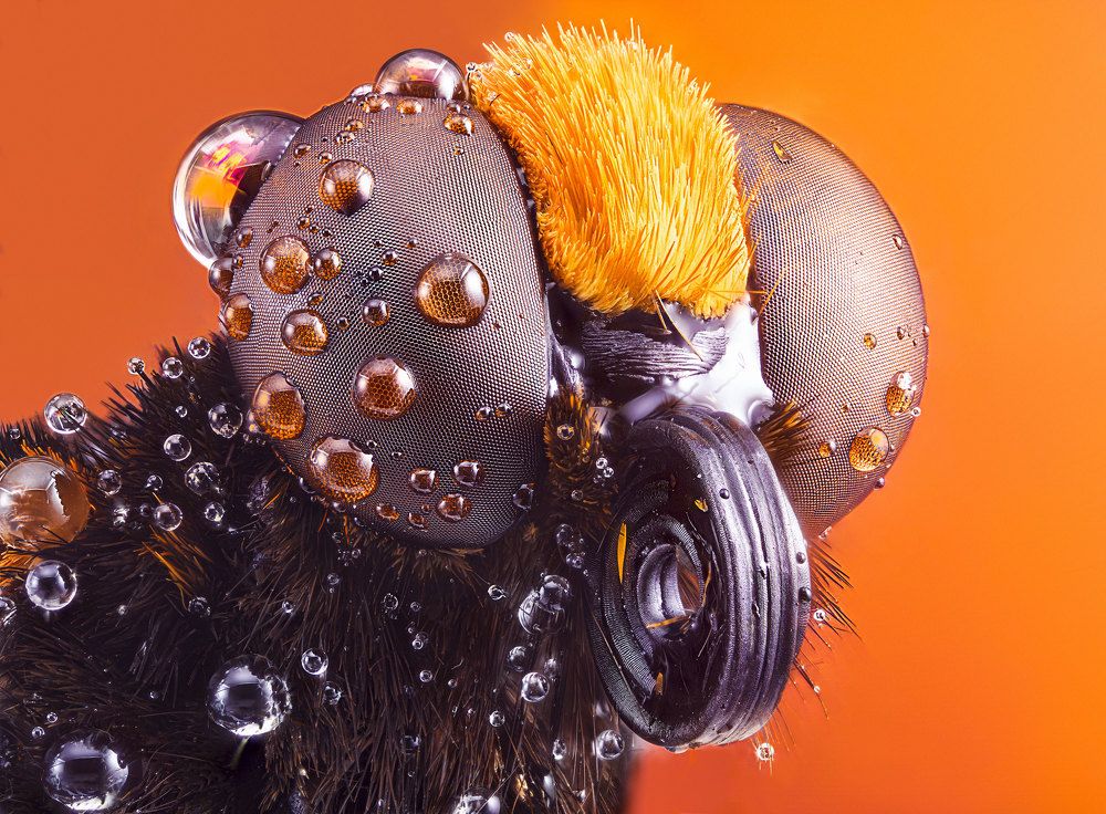 The Last of the Mohicans