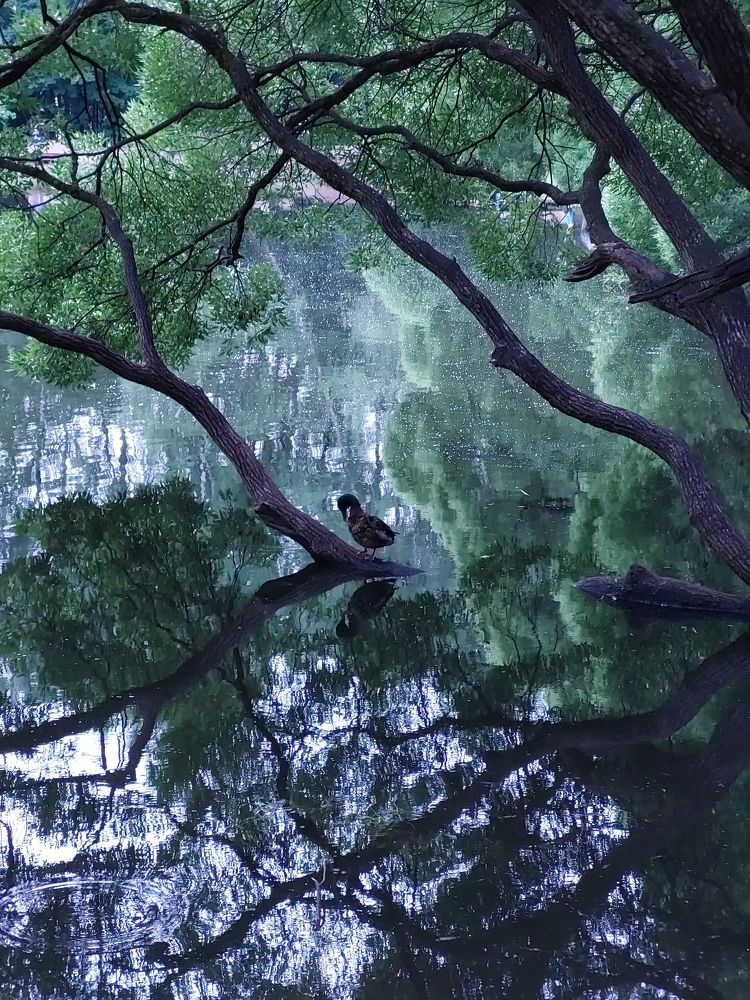 Photograph by Елена Тимченко