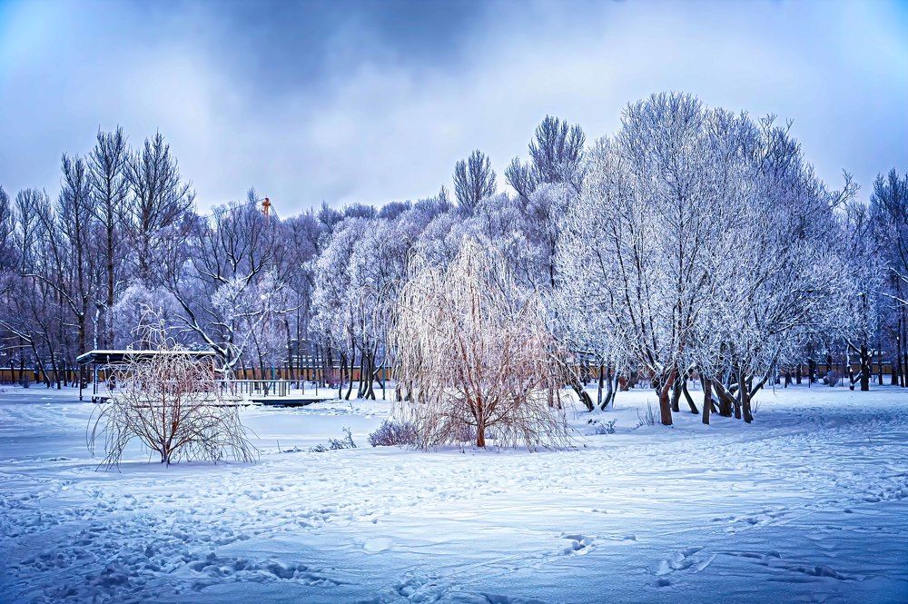 Photograph by Андрей Ныриков