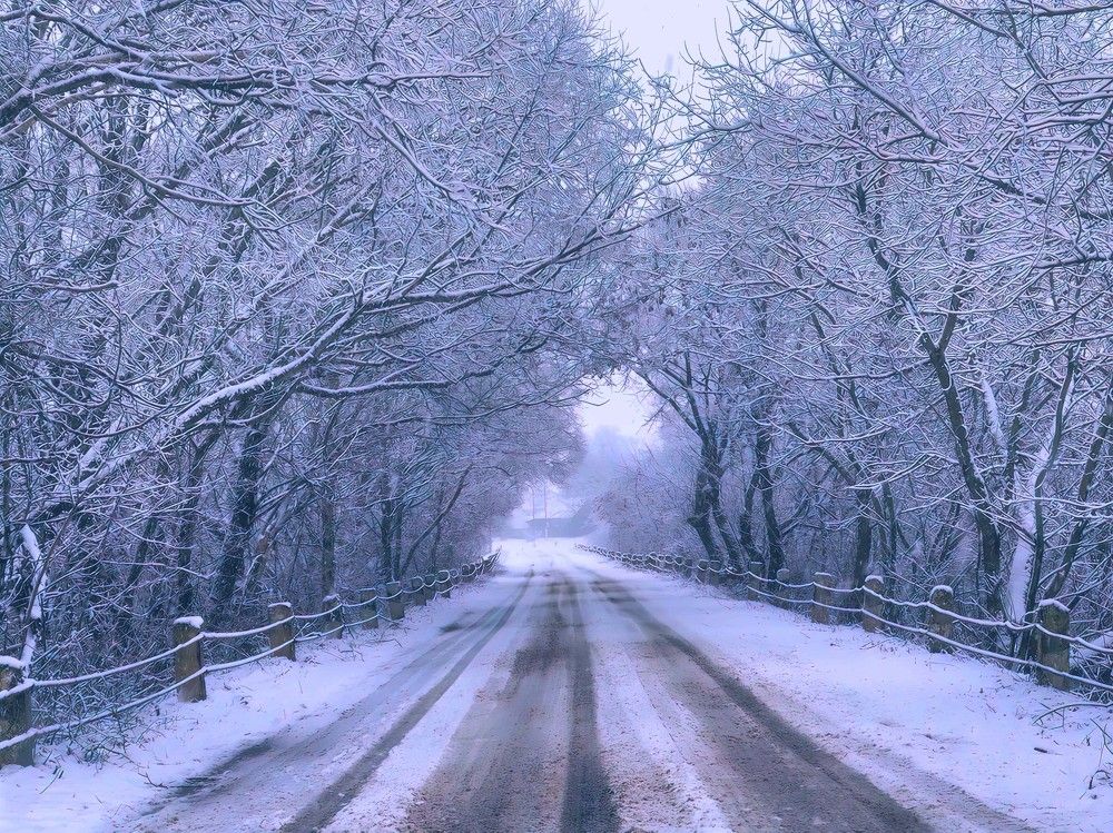 Photograph by Андрей Ныриков