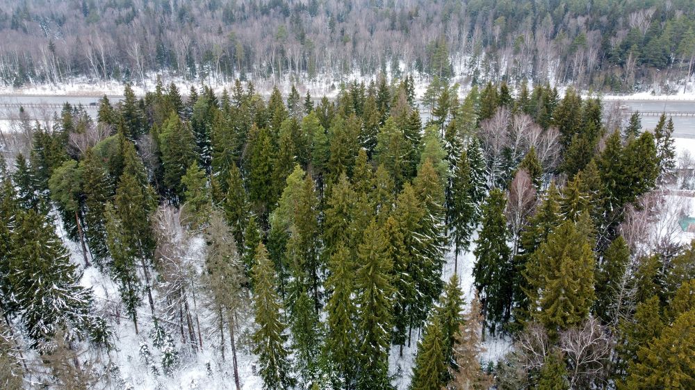 Photograph by Михаил Серебренников