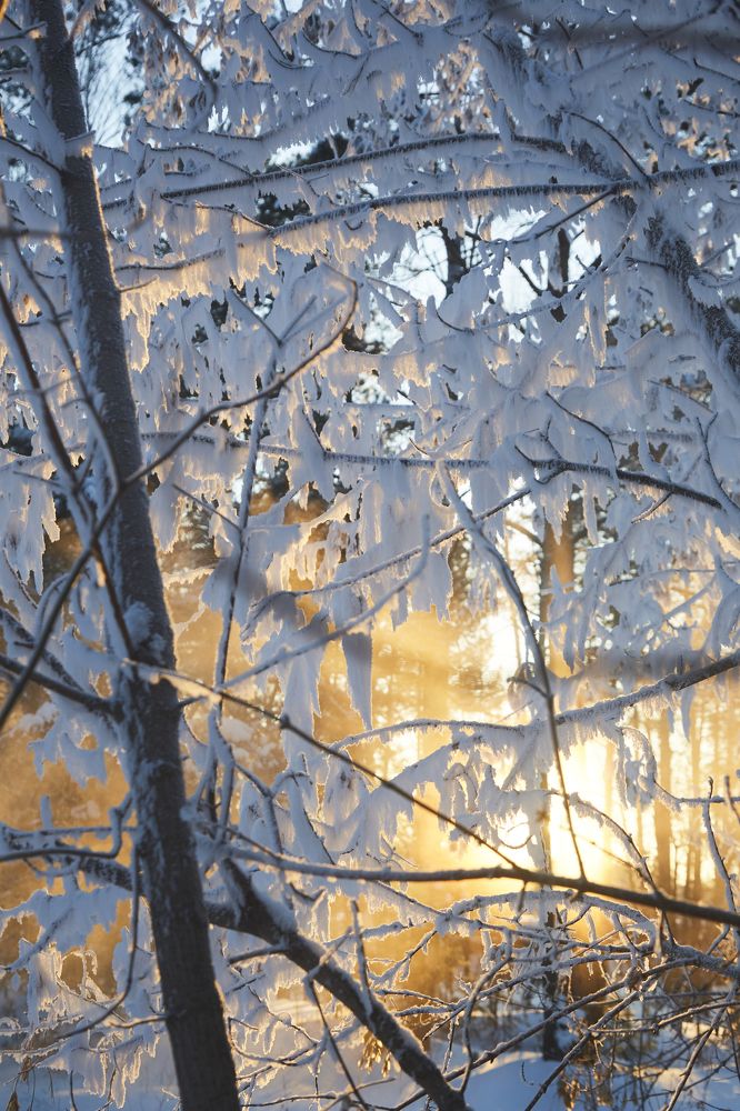 Photograph by Анастасия Тупицына