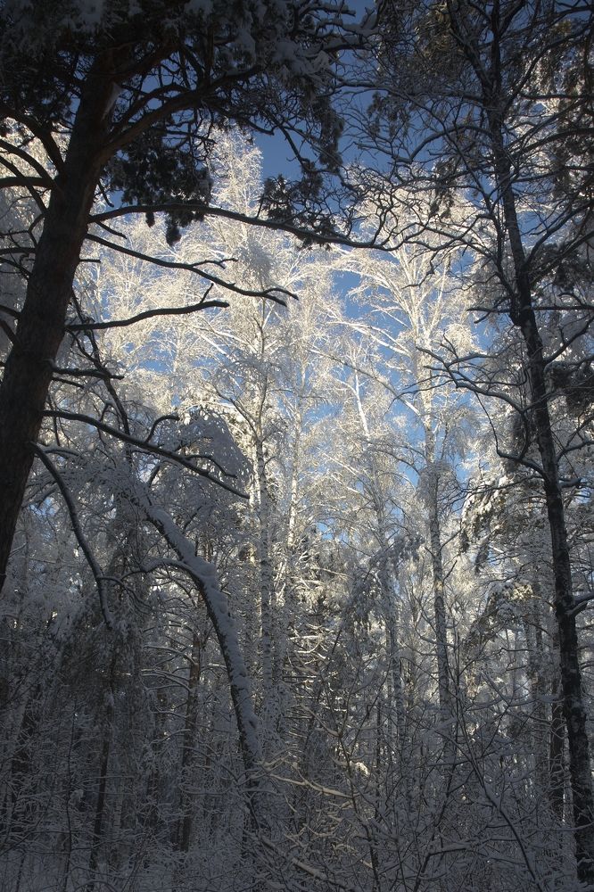 Photograph by Анастасия Тупицына