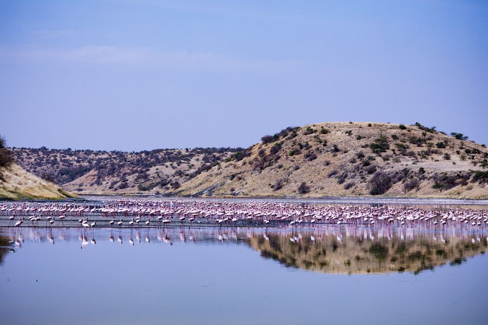 Photograph by Antony Trivet