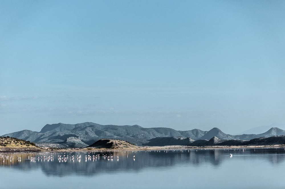 Photograph by Antony Trivet