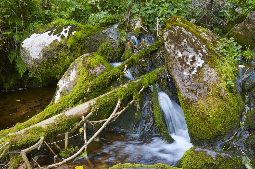 Photograph by Анастасия Тупицына