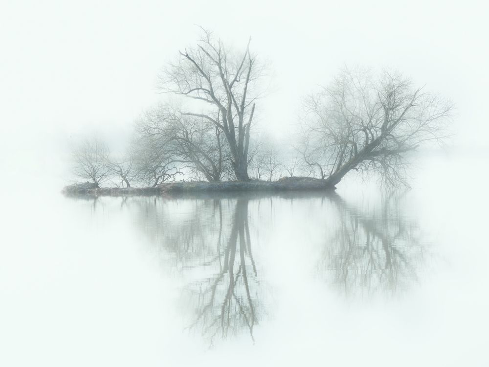 Одиночное плавание, в тумане.