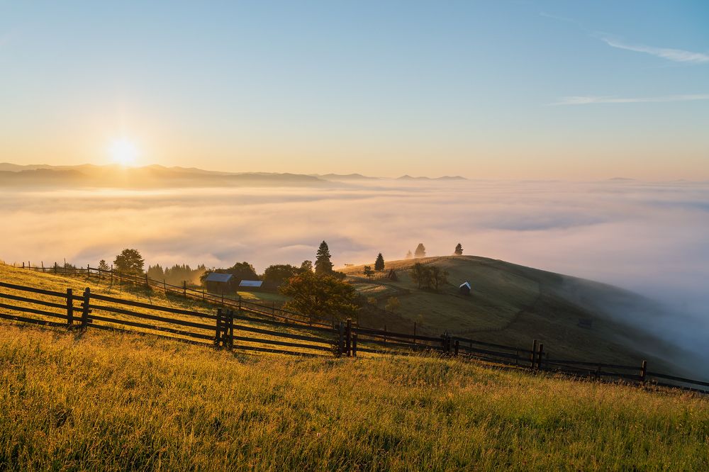 Photograph by Alex Coman