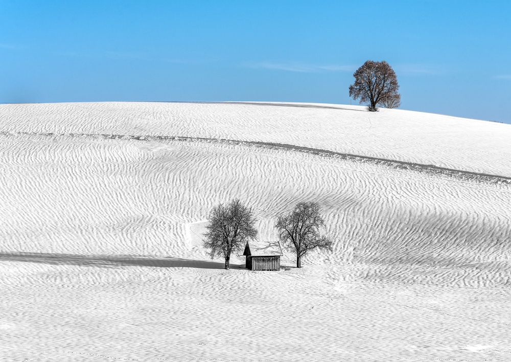 Photograph by ANDREA DUBLASKI