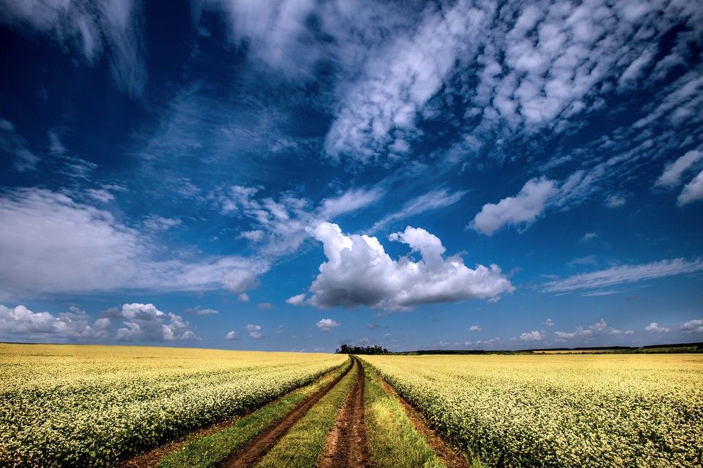 Photograph by Назаров Александр