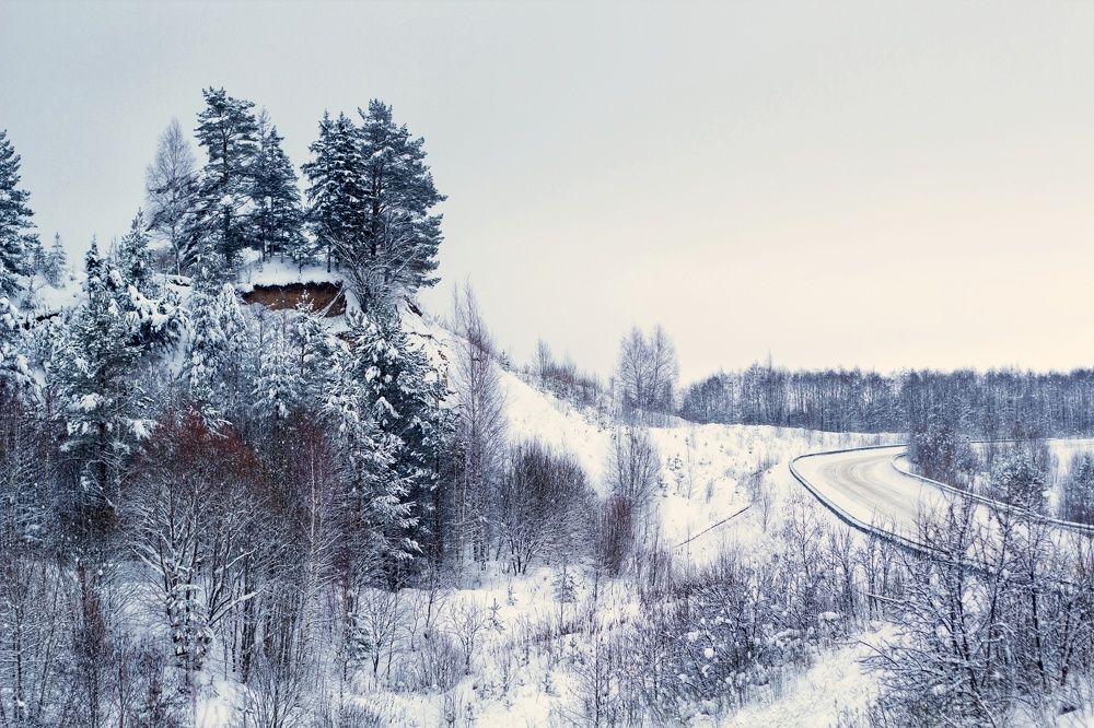 Photograph by Svetlana Degtyareva