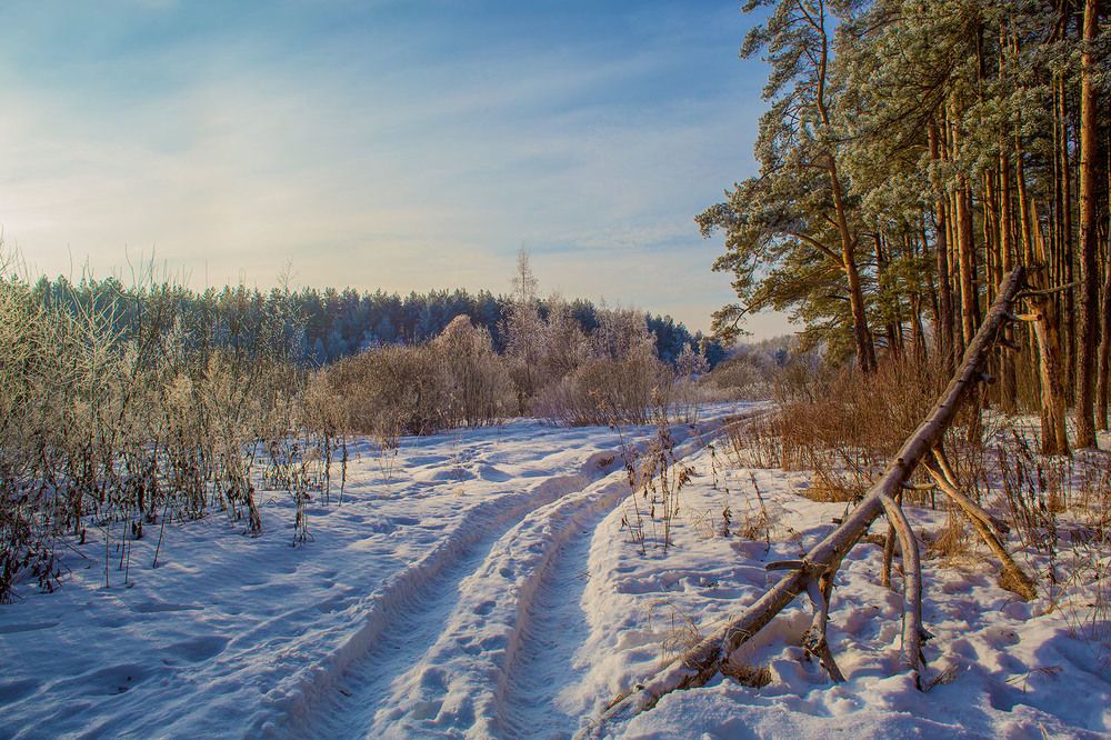 Photograph by Владимир Дерябин
