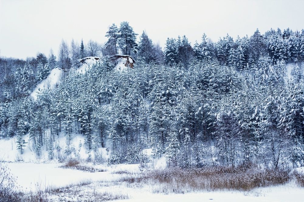 Photograph by Svetlana Degtyareva