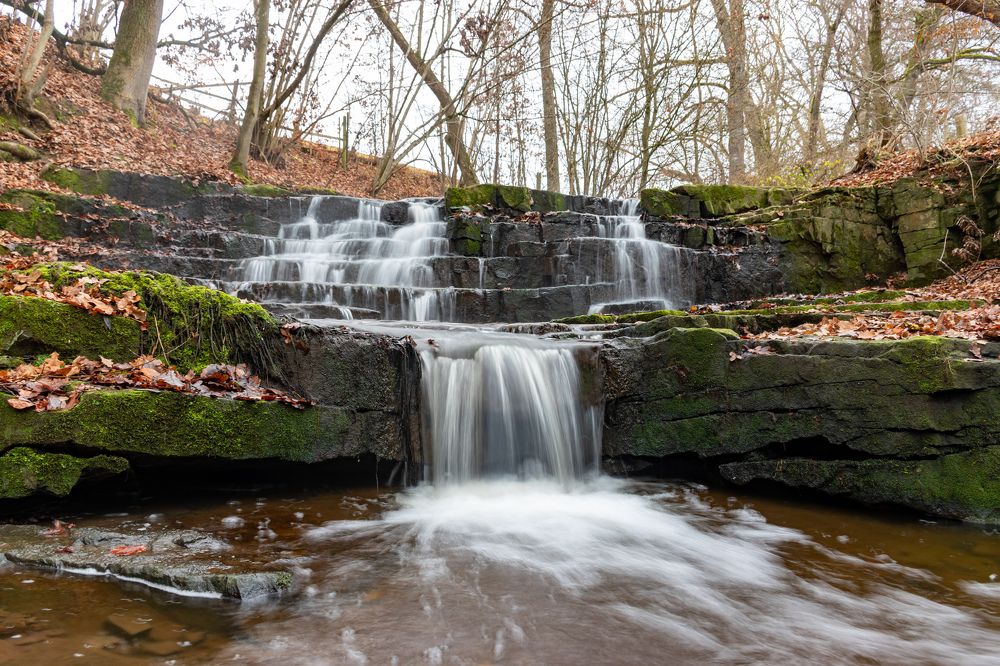 Photograph by Людмила Комарова