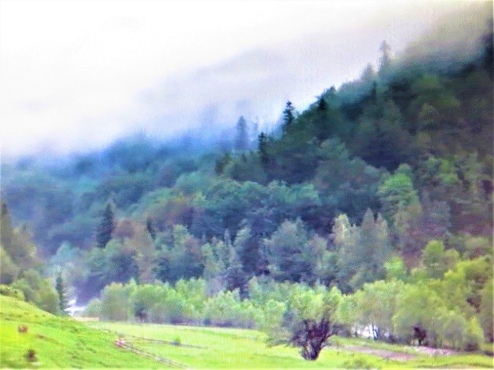 Photograph by Галина