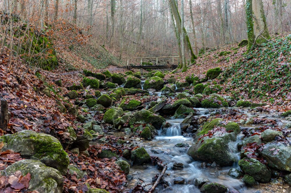 Photograph by Людмила Комарова