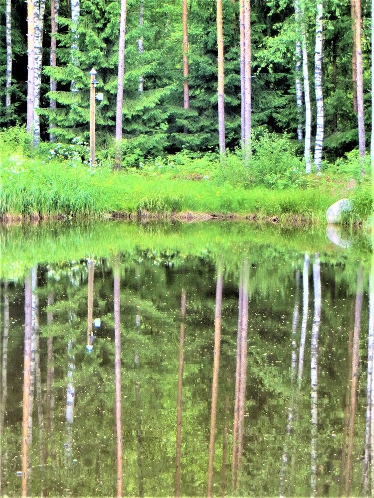 Photograph by Галина