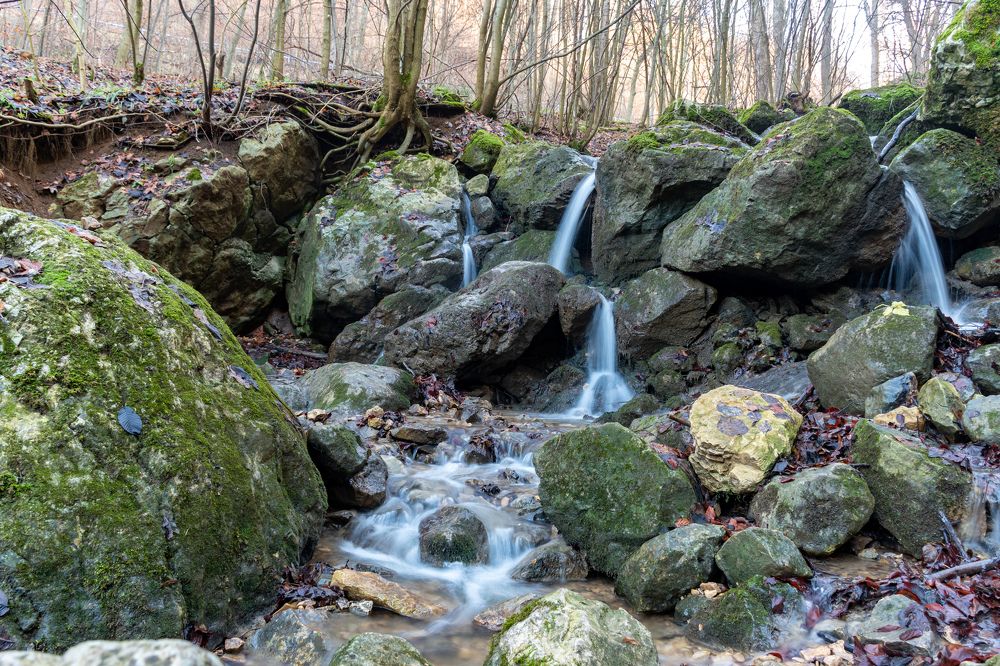 Photograph by Людмила Комарова