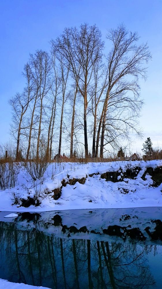 Фотография автора Максим Грибанов