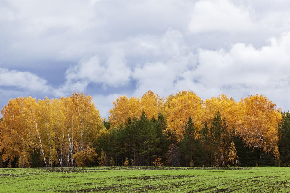 Фотография автора Рамиль Фаттахов