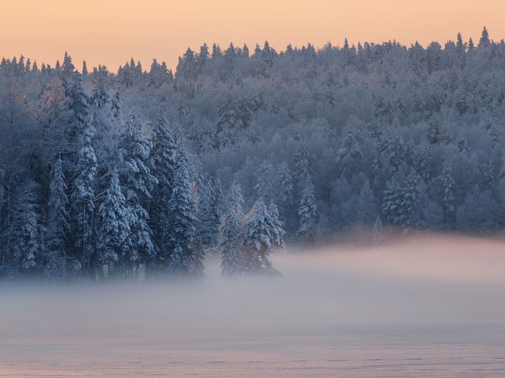 Photograph by Елена Лебедева