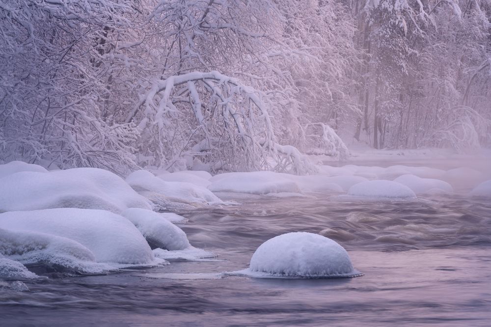 Photograph by Елена Лебедева