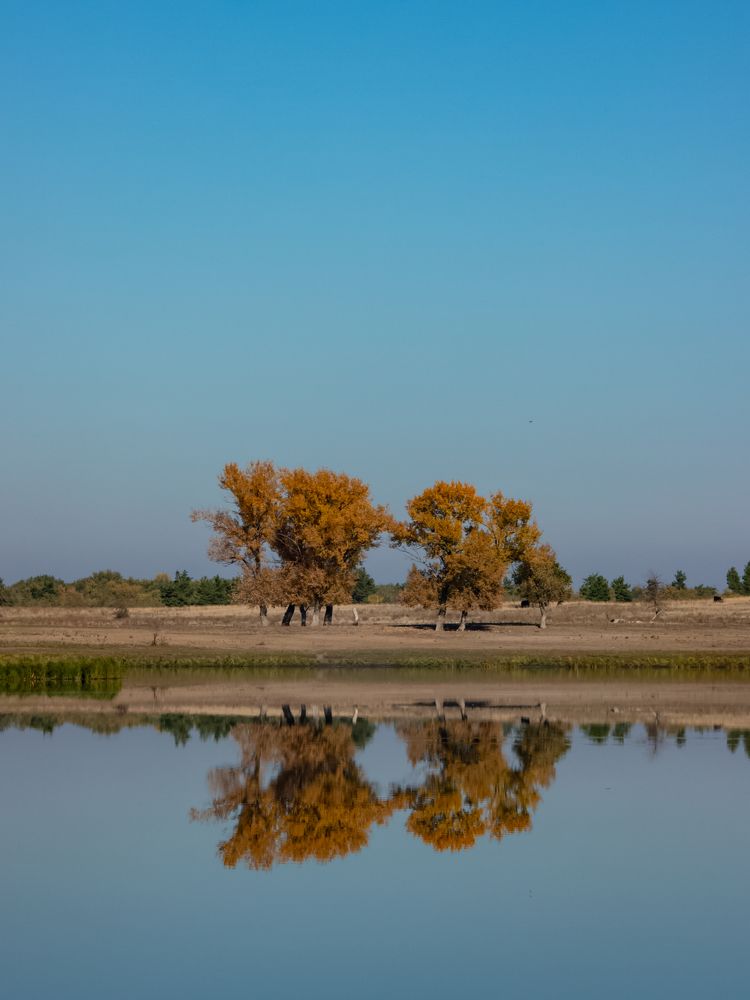 Photograph by Vladimir Rybalko