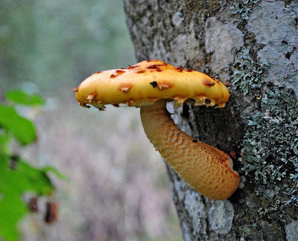 Photograph by Алексей