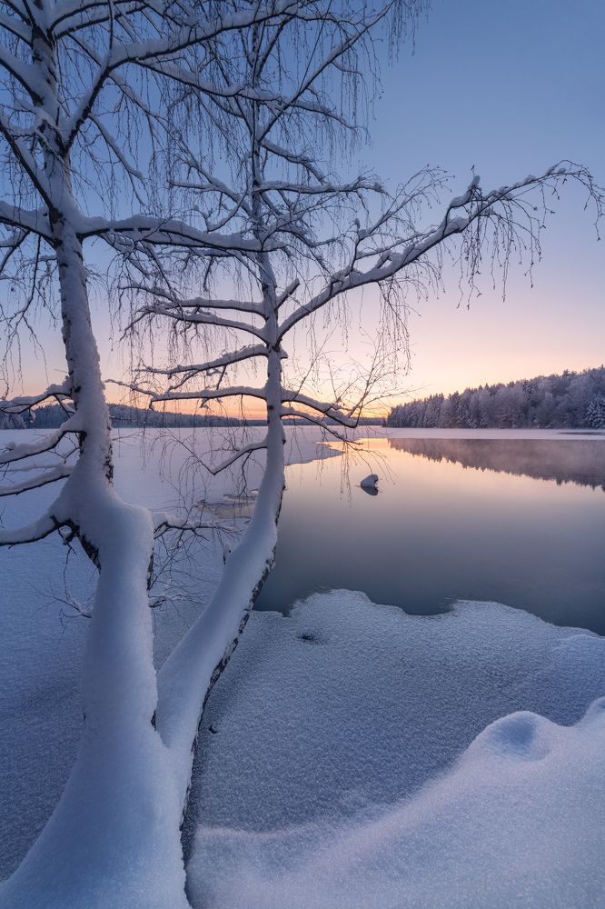 Photograph by Елена Лебедева