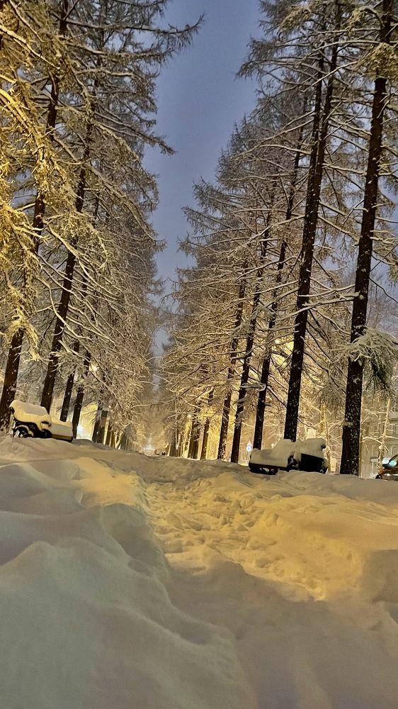 Photograph by Светлана Хохлова