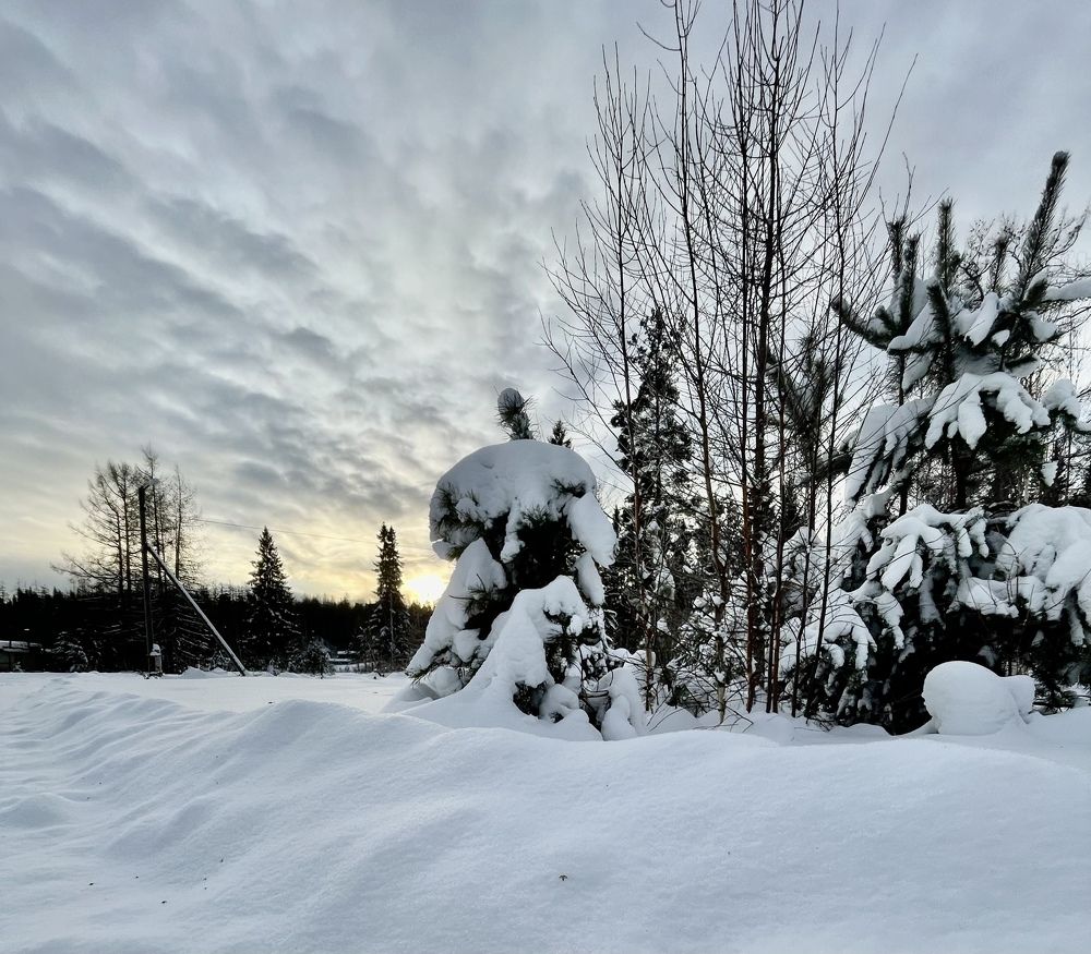 Photograph by Светлана Хохлова