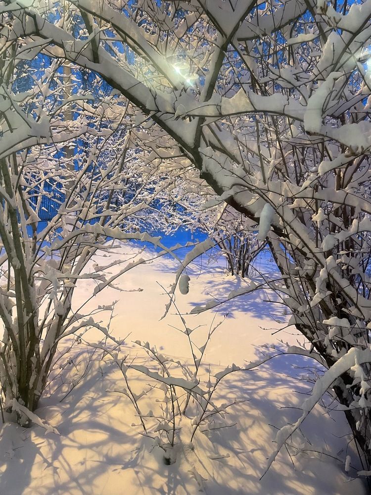 Photograph by Светлана Хохлова