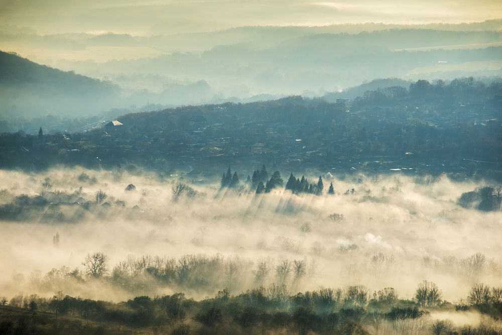 Photograph by bornaum