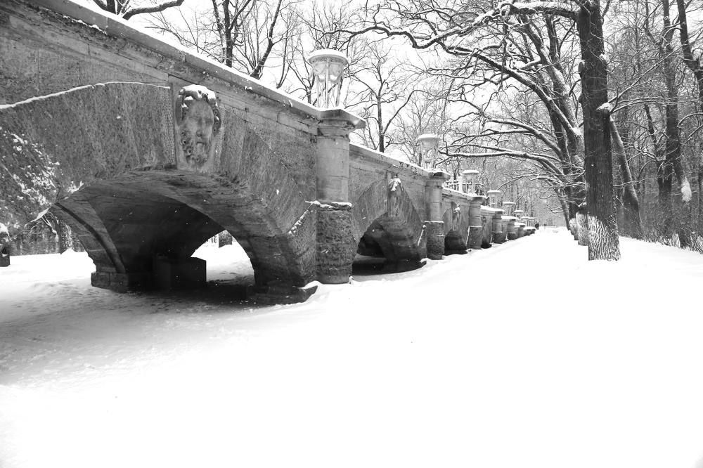 Photograph by Николай Бакулин