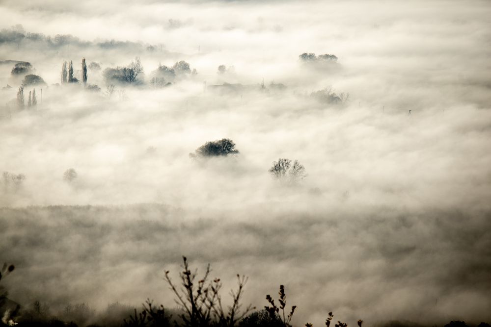 Photograph by bornaum