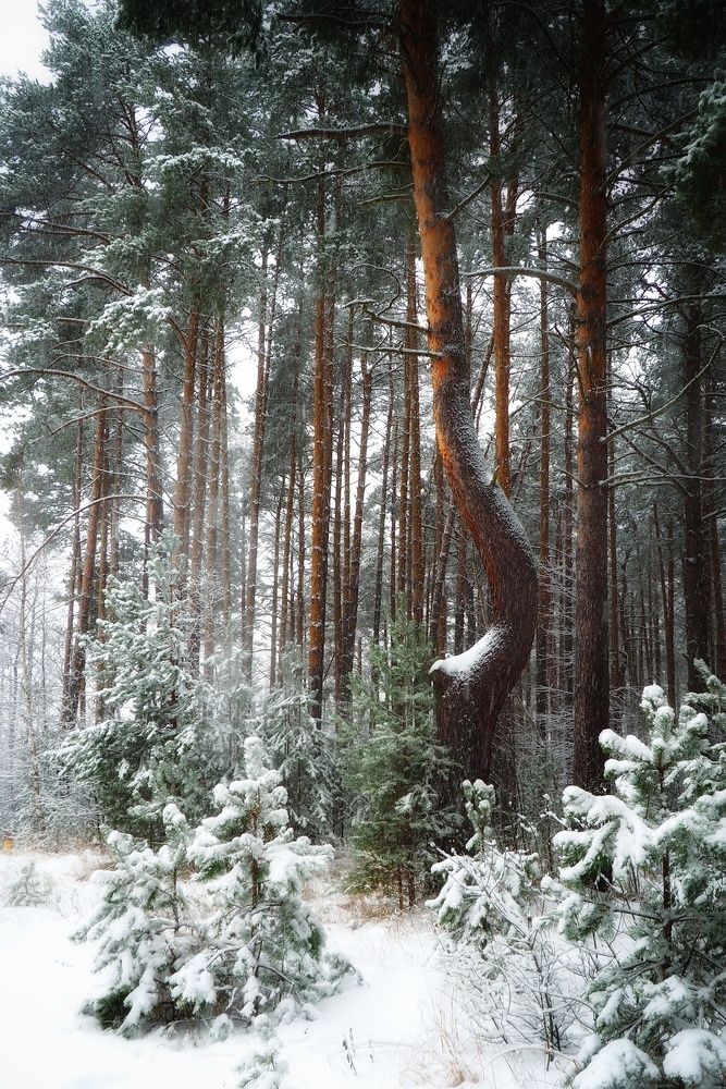 Photograph by Илья Шамин