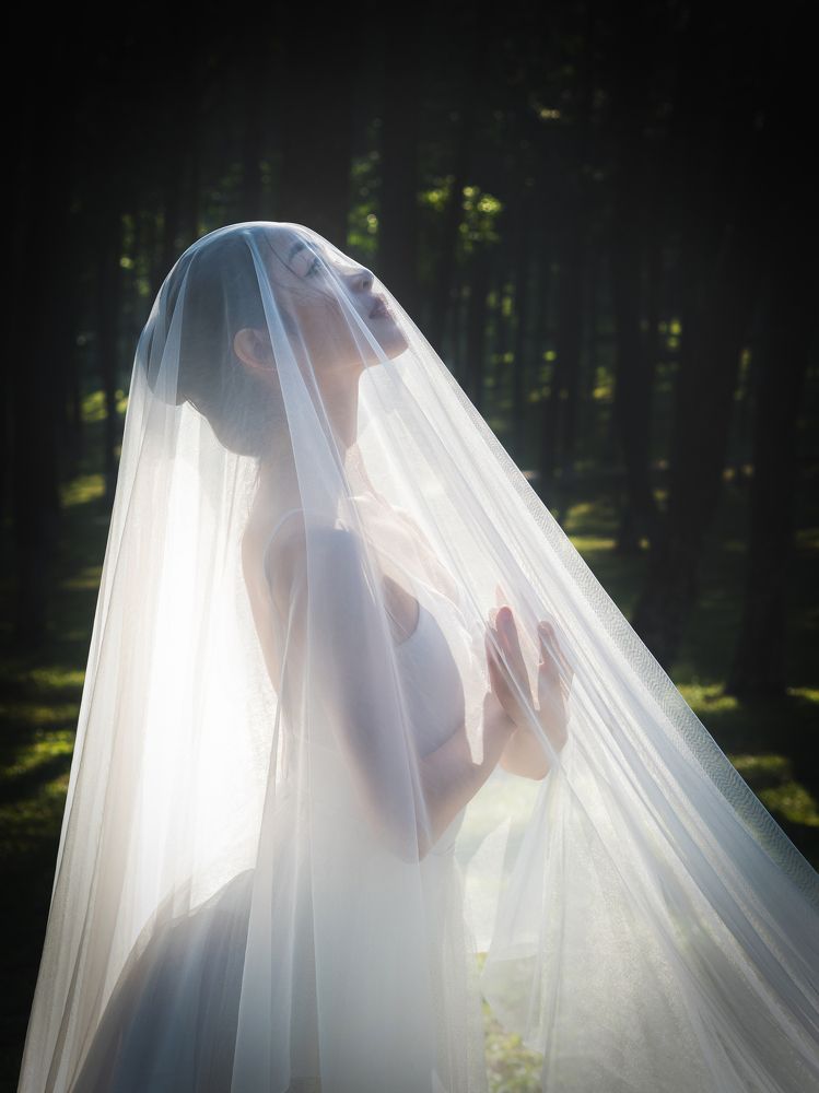 Фотография автора Hong Mai Duong