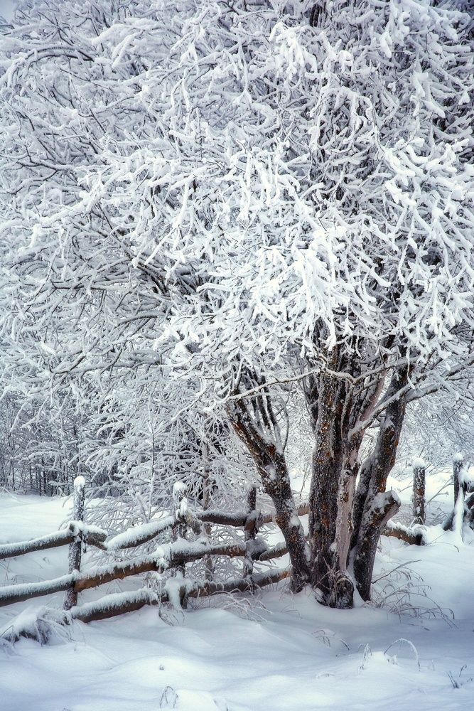 Photograph by Илья Шамин